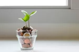 copy trading with little money